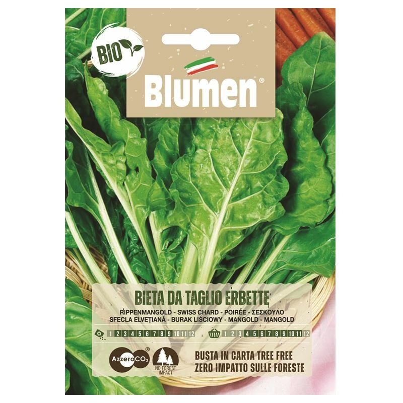 foto del prodotto semi bio bieta da taglio erbette blumen
