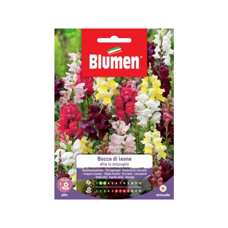 foto del prodotto semi blumen bocca leone alta