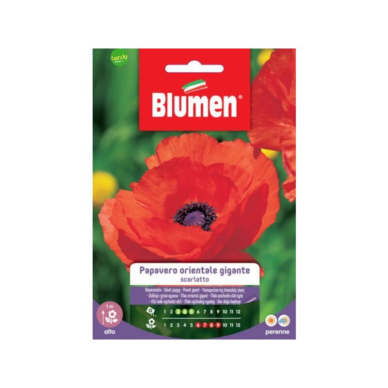 foto del prodotto semi blumen papavero orientale scarlatto