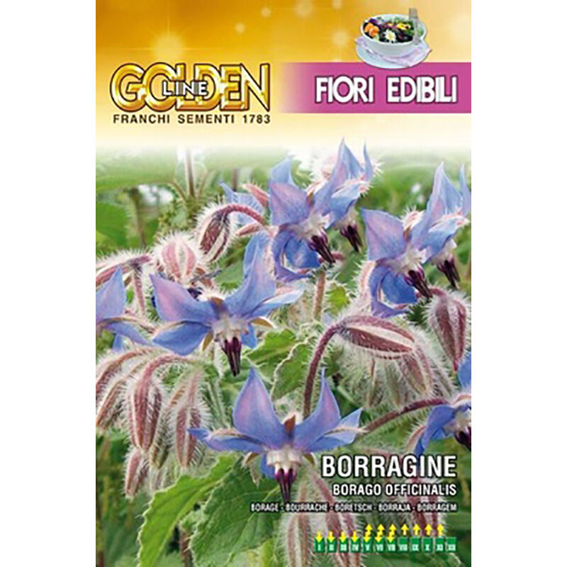 foto del prodotto semi borragine edibile golden line franchi sementi