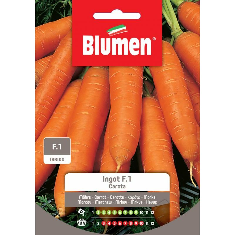 foto del prodotto semi carota ingot ibrido blumen