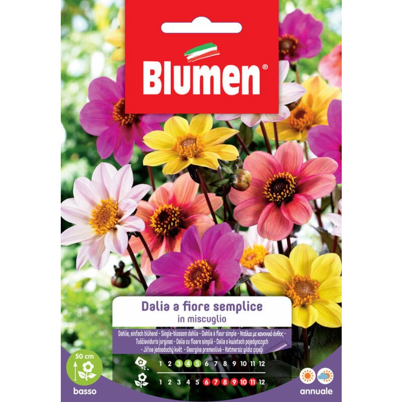 foto del prodotto semi dalia fiore semplice mix blumen