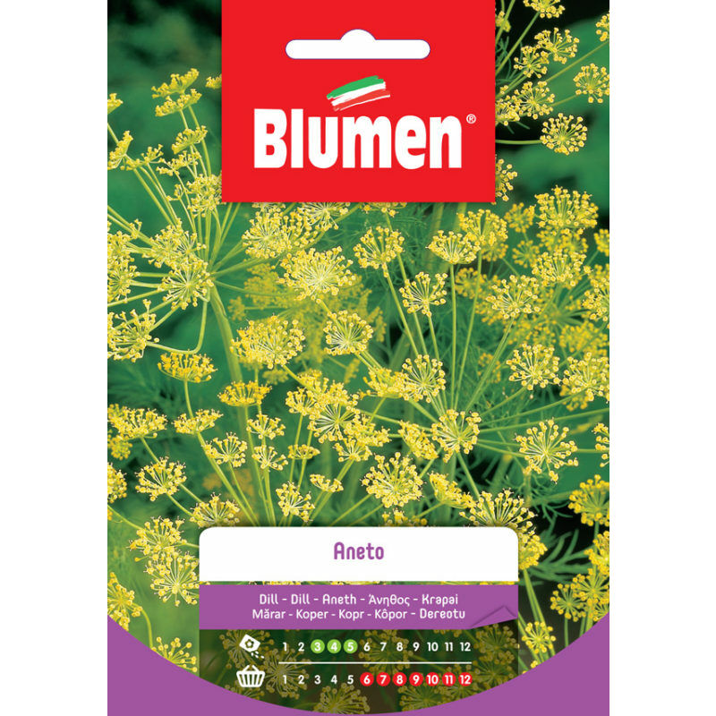 foto del prodotto semi di aneto blumen