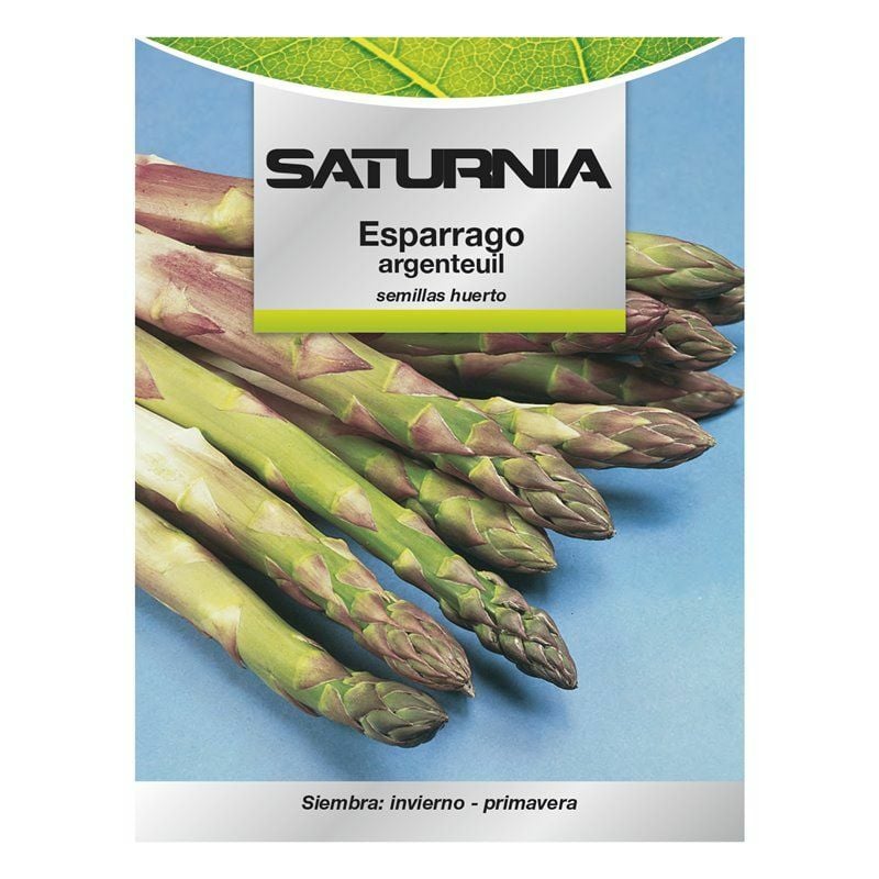 foto del prodotto semi di asparagi da giardino