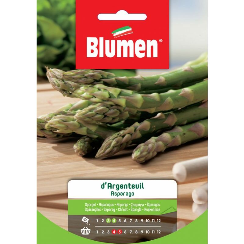 foto del prodotto semi di asparago d argenteuil blumen