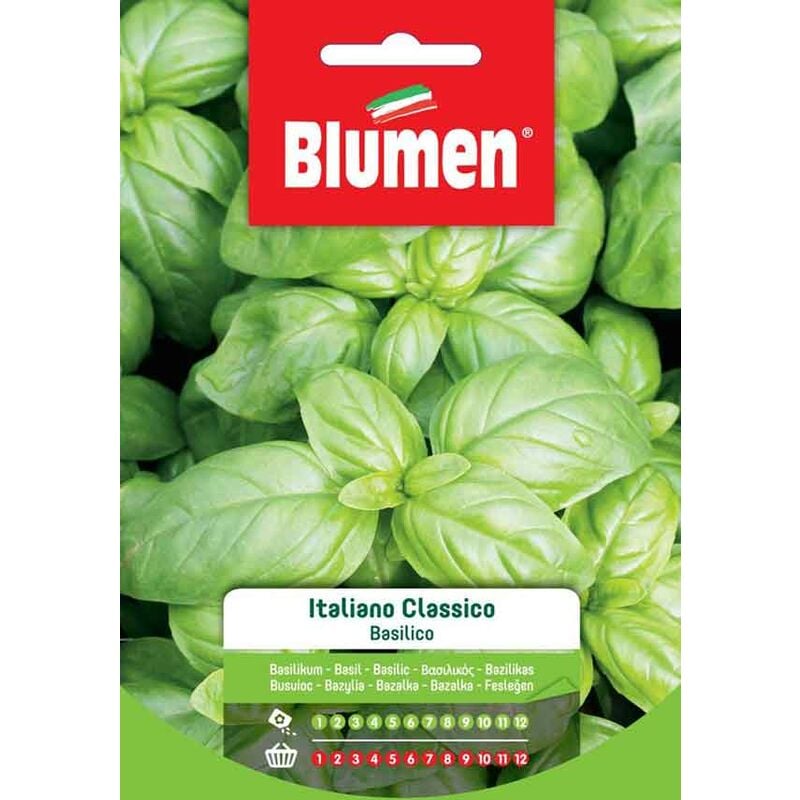 foto del prodotto semi di basilico italiano classico blumen