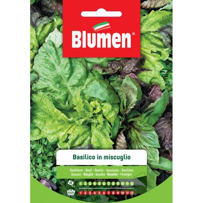 foto del prodotto semi di basilico mix blumen