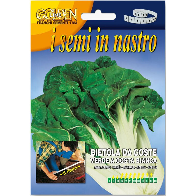 foto del prodotto semi di bieta da taglio in nastro franchi sementi