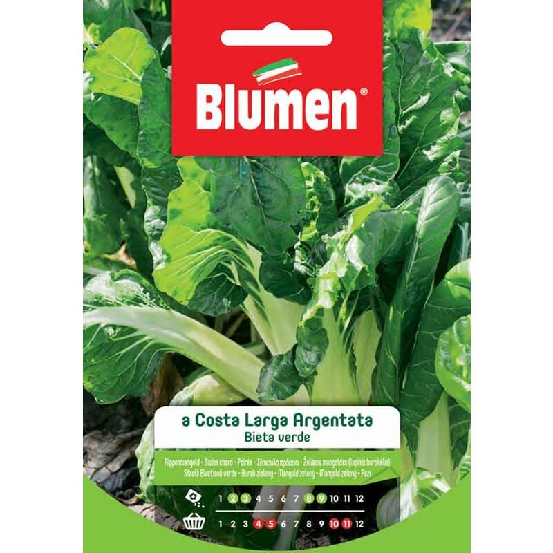 foto del prodotto semi di bieta verde a costa larga argentata blumen