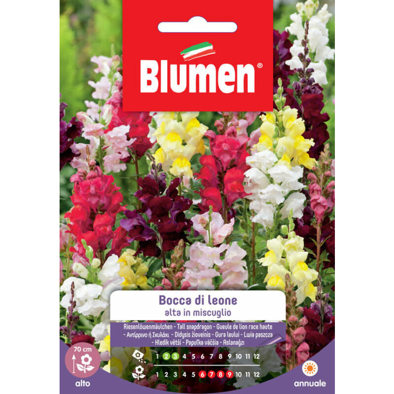 foto del prodotto semi di bocca di leone blumen
