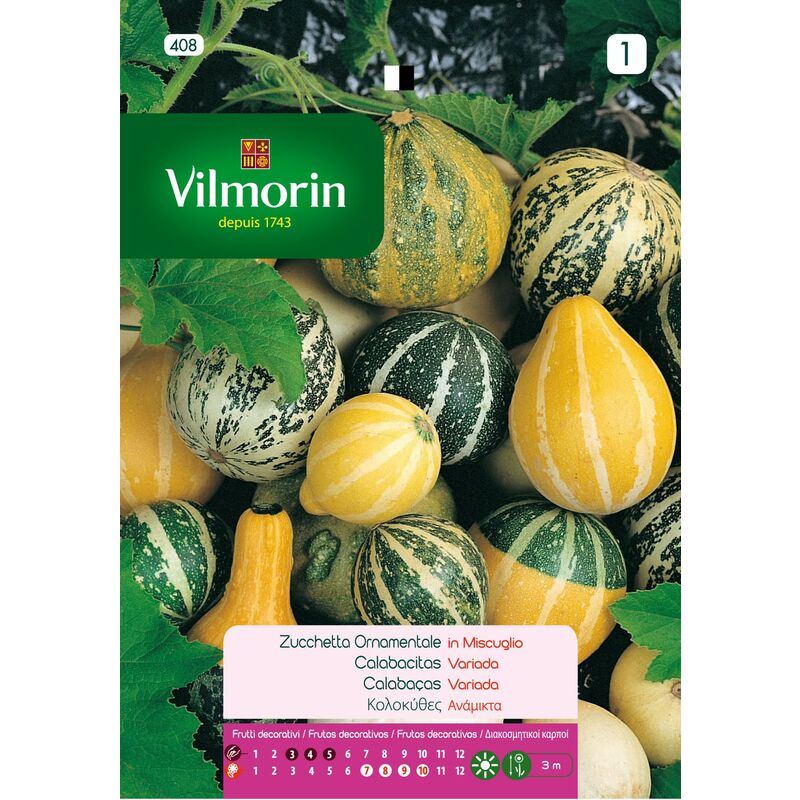 foto del prodotto semi di calabacitas vilmorin vari fiori s 1, 3 gr
