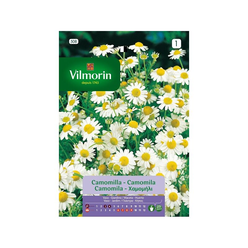 foto del prodotto semi di camomila aromatici vilmorin s 1 508, 0,6 gr