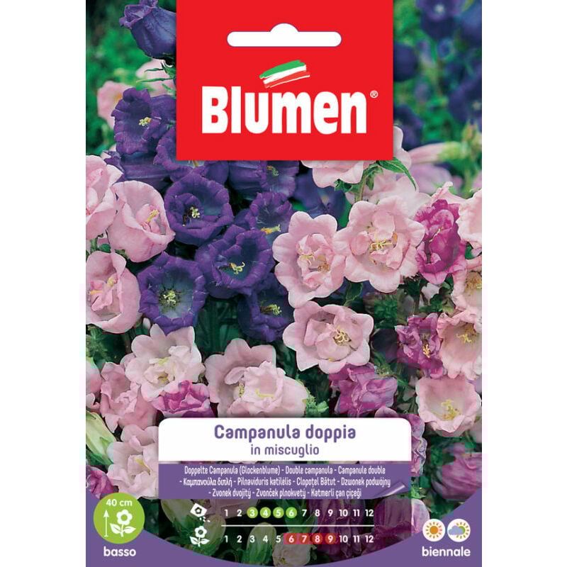 foto del prodotto semi di campanula doppia in miscuglio blumen