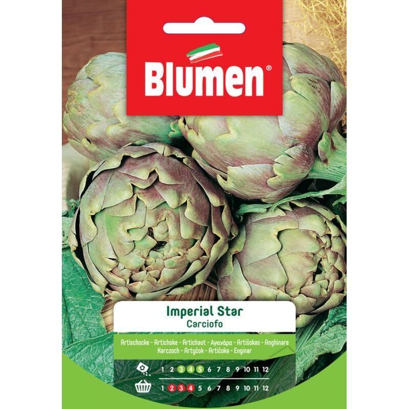 foto del prodotto semi di carciofo imperial star blumen