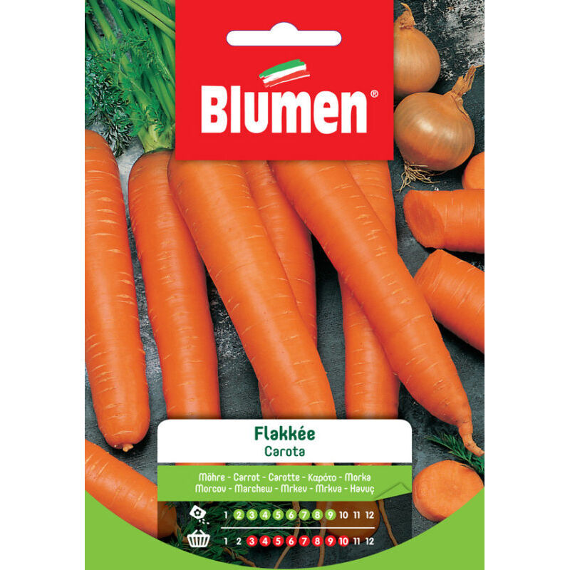 foto del prodotto semi di carota flakk e blumen
