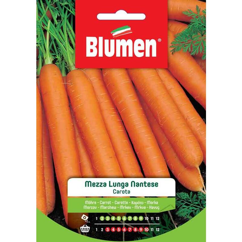 foto del prodotto semi di carota mezza lunga nantese blumen