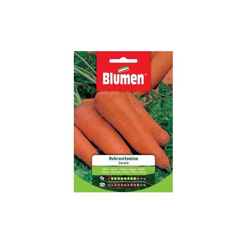 foto del prodotto semi di carota rubrovitamina blumen
