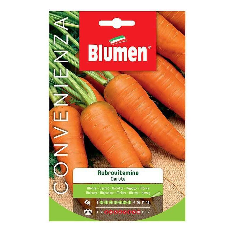foto del prodotto semi di carota rubrovitamina blumen