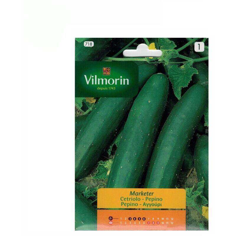foto del prodotto semi di cetriolo vilmorin 5g