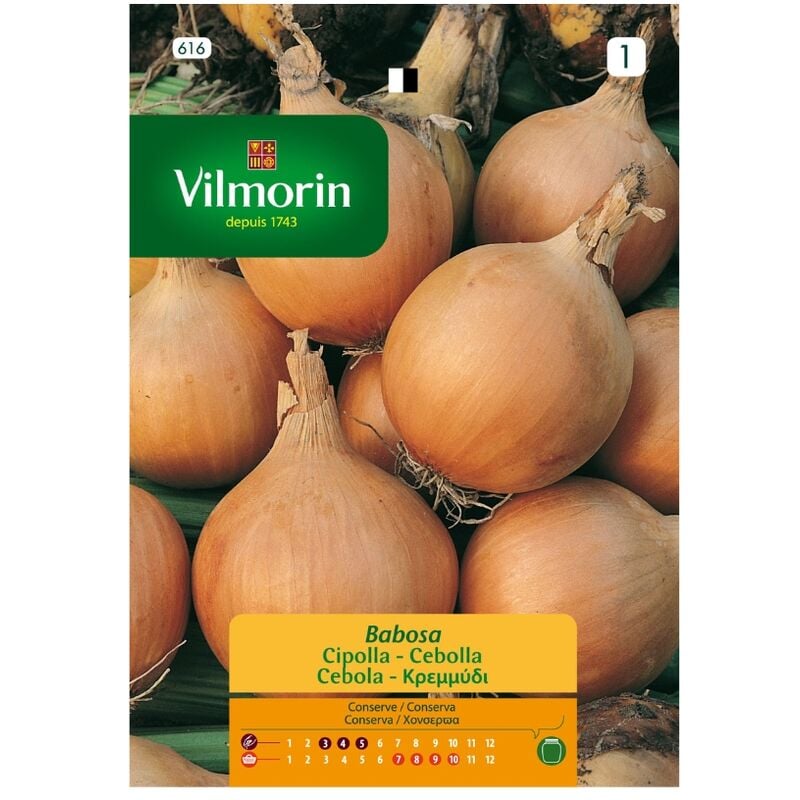 foto del prodotto semi di cipolla lenta vilmorin s 1 616, 5 gr