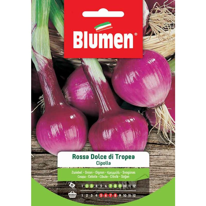 foto del prodotto semi di cipolla rossa dolce di tropea blumen