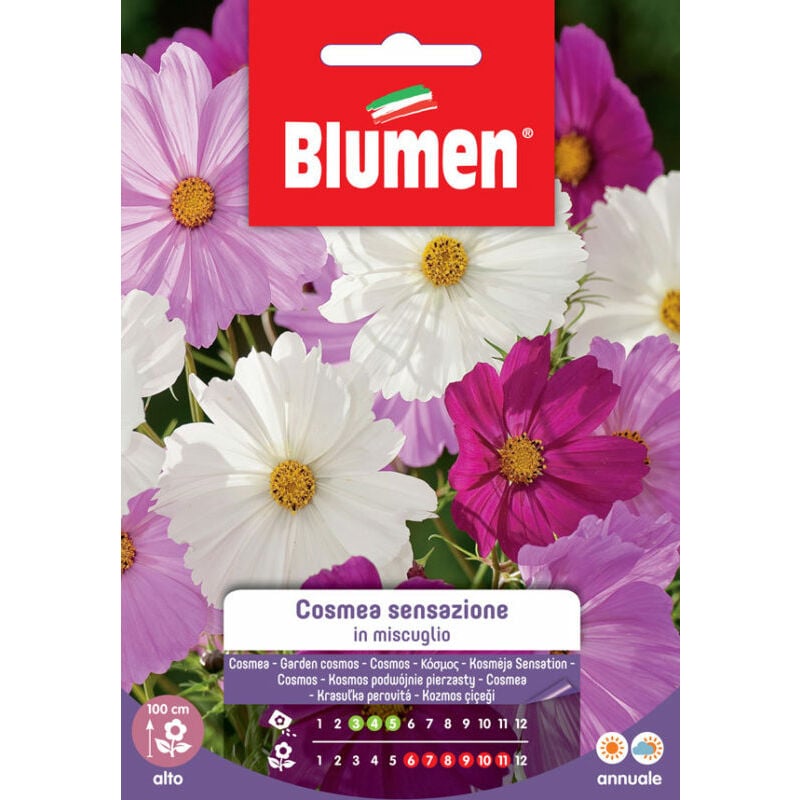 foto del prodotto semi di cosmea sensazione blumen