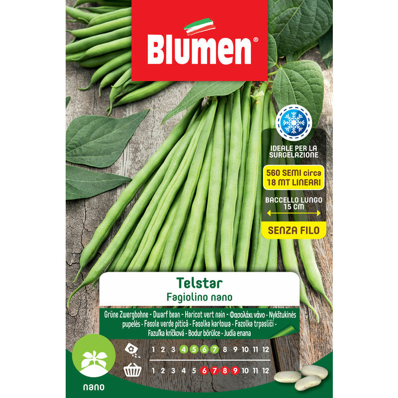 foto del prodotto semi di fagiolini nani telstar blumen