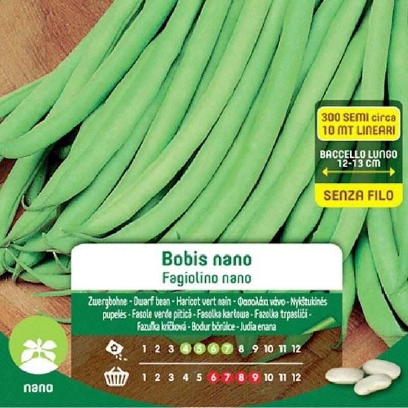 foto del prodotto semi di fagiolino nano bobis nano in busta maxi