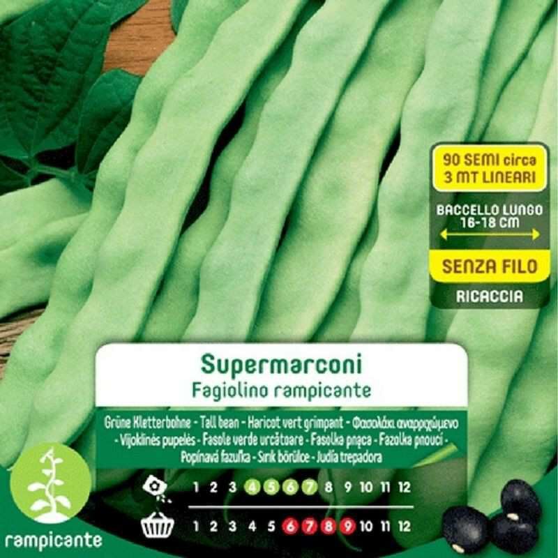 foto del prodotto semi di fagiolino rampicante supermarconi in busta maxi