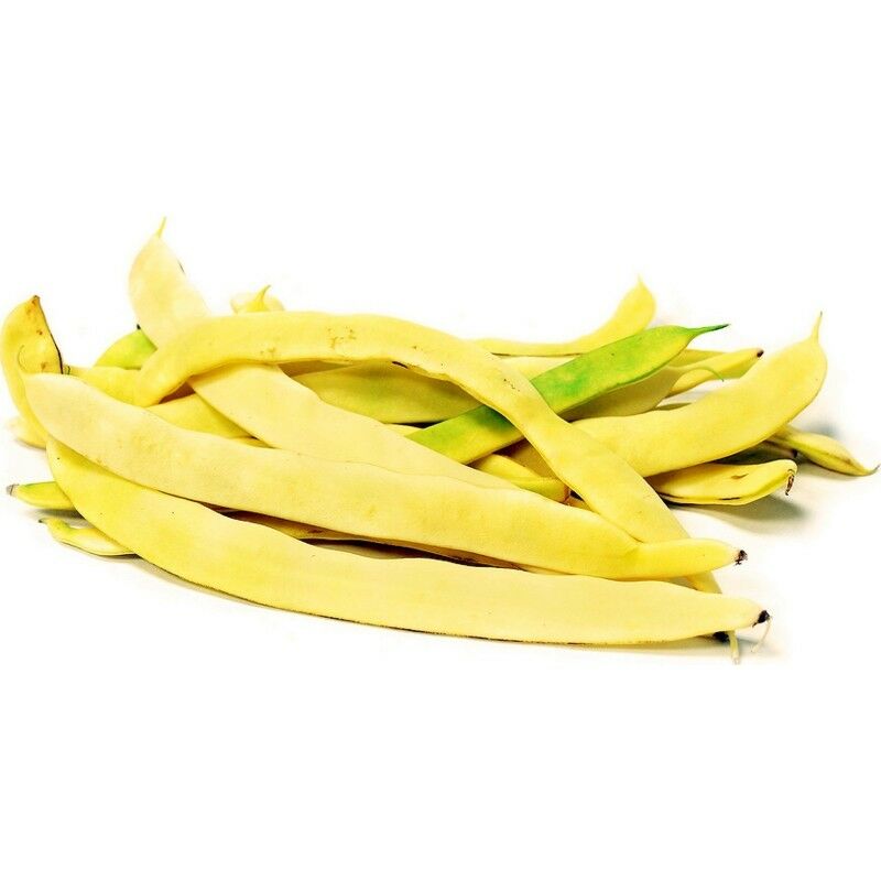 foto del prodotto semi di fagiolo nano mangiatutto meraviglia piante per orto e giardino coltivazione domestica e professionale