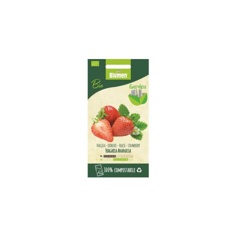 foto del prodotto semi di fragola bio