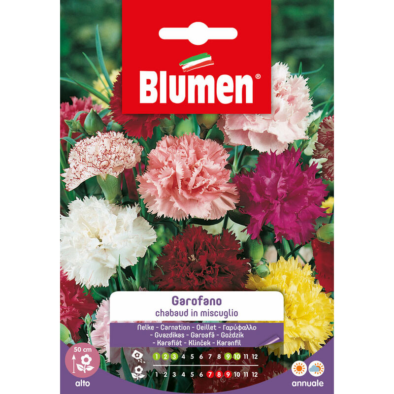 foto del prodotto semi di garofano chabaud mix blumen