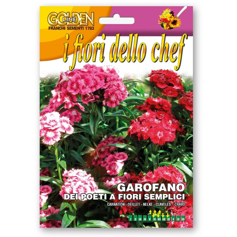 foto del prodotto semi di garofano dei poeti a fiori semplici