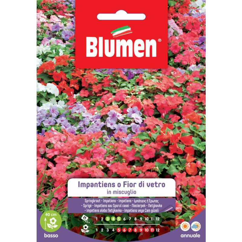 foto del prodotto semi di impatiens o fior di vetro blumen