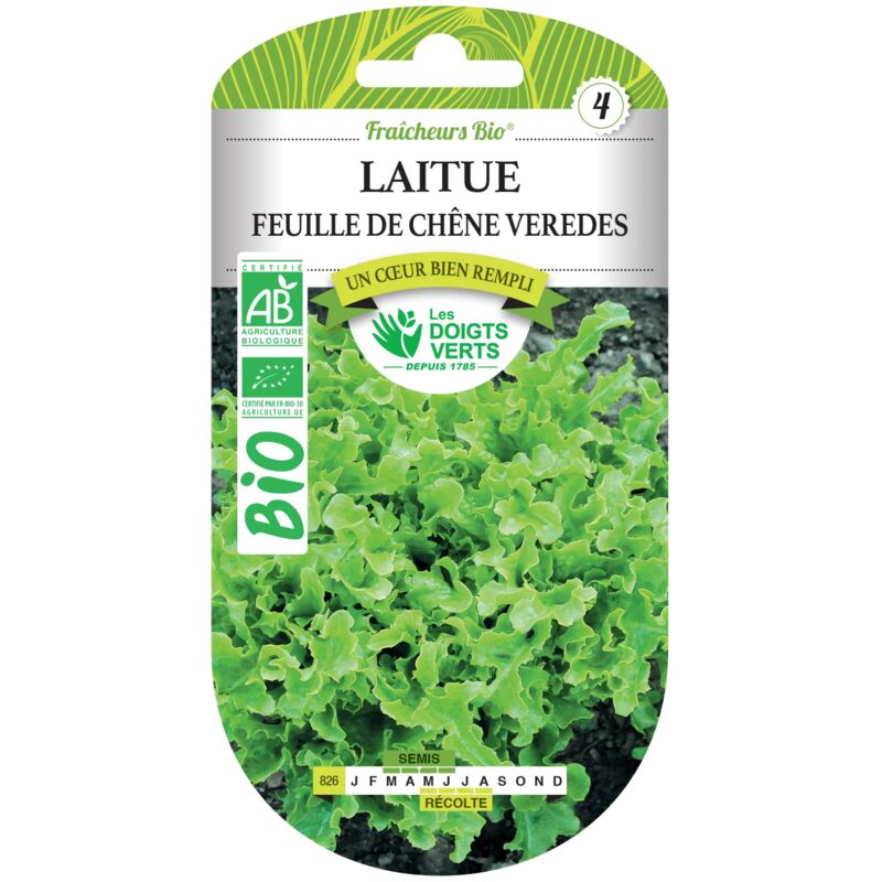 foto del prodotto semi di lattuga a foglia di quercia verde bio le dita verdi