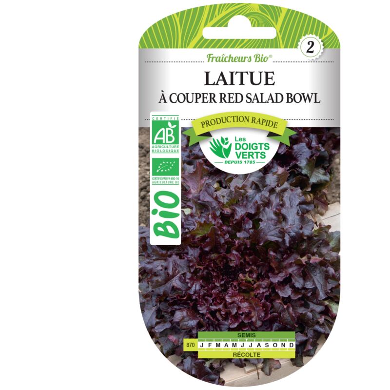 foto del prodotto semi di lattuga a foglia rossa bio les doigts verts