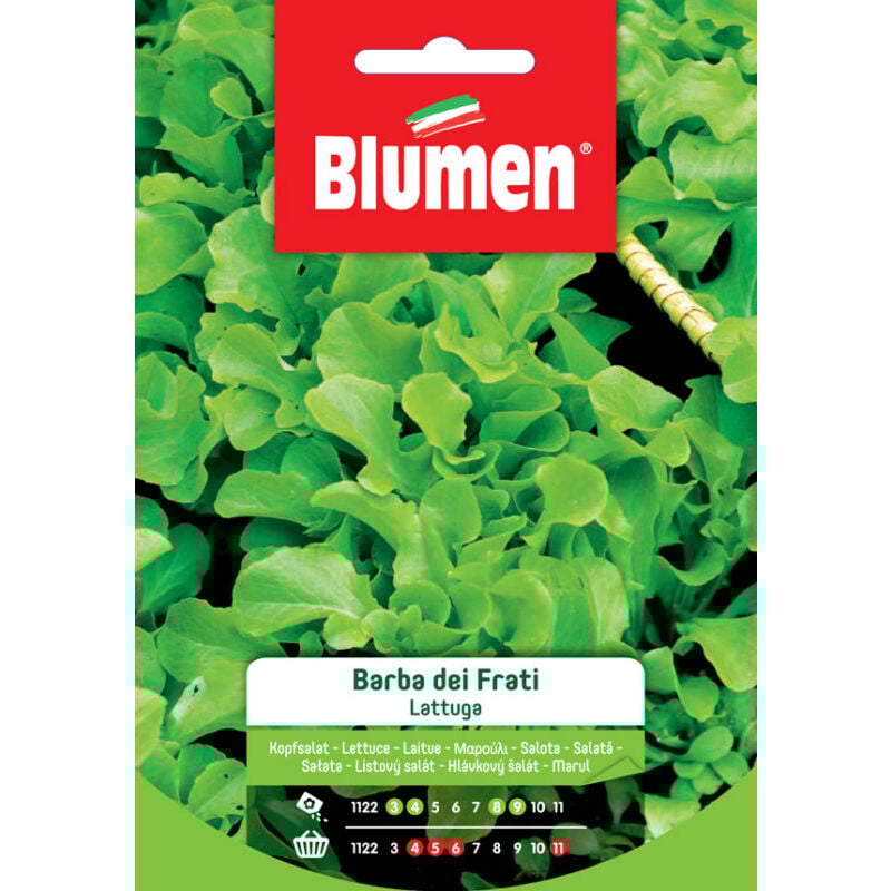 foto del prodotto semi di lattuga ricciuta barba dei frati blumen