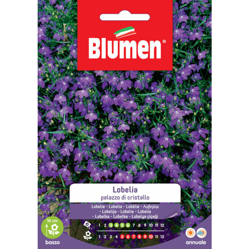 foto del prodotto semi di lobelia palazzo di cristallo blumen
