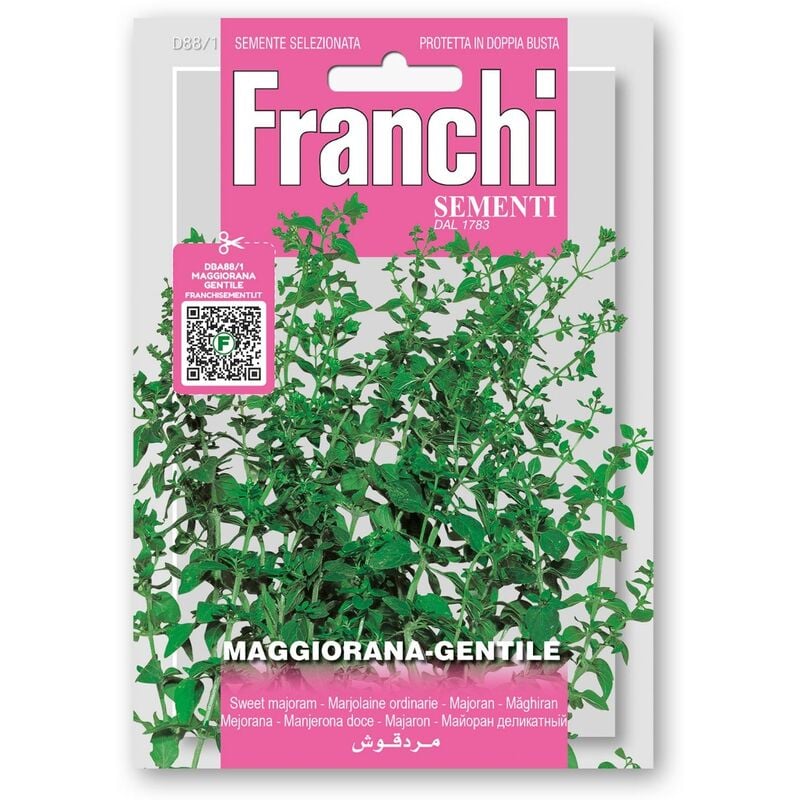 foto del prodotto semi di maggiorana gentile orto giardino