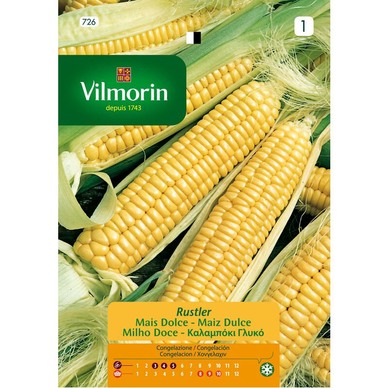 foto del prodotto semi di mais vilmorrin rustler s 1 , circa 8 gr