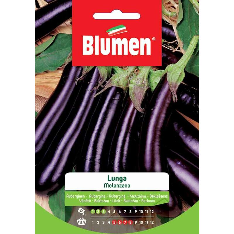 foto del prodotto semi di melanzana lunga blumen
