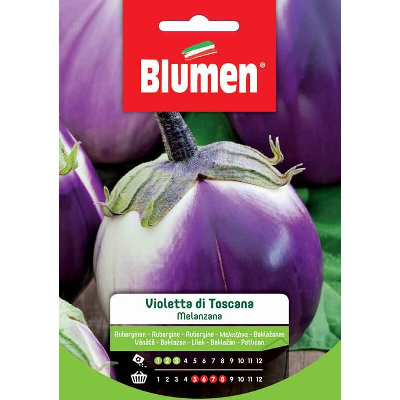 foto del prodotto semi di melanzana violetta di toscana blumen