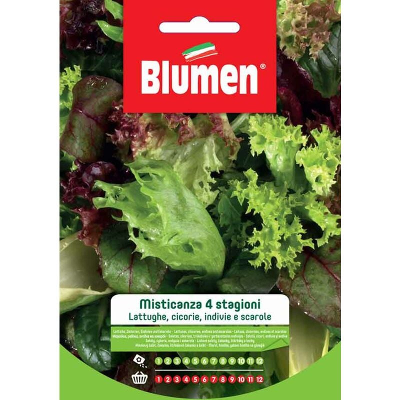 foto del prodotto semi di misticanza 4 stagioni blumen