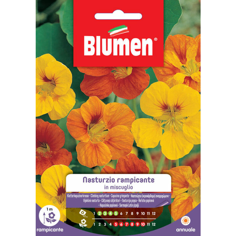 foto del prodotto semi di nasturzio rampicante blumen