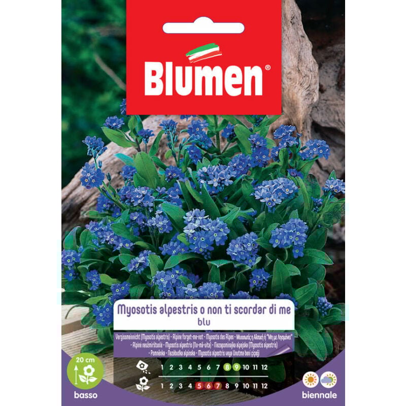 foto del prodotto semi di non ti scordar di me blumen