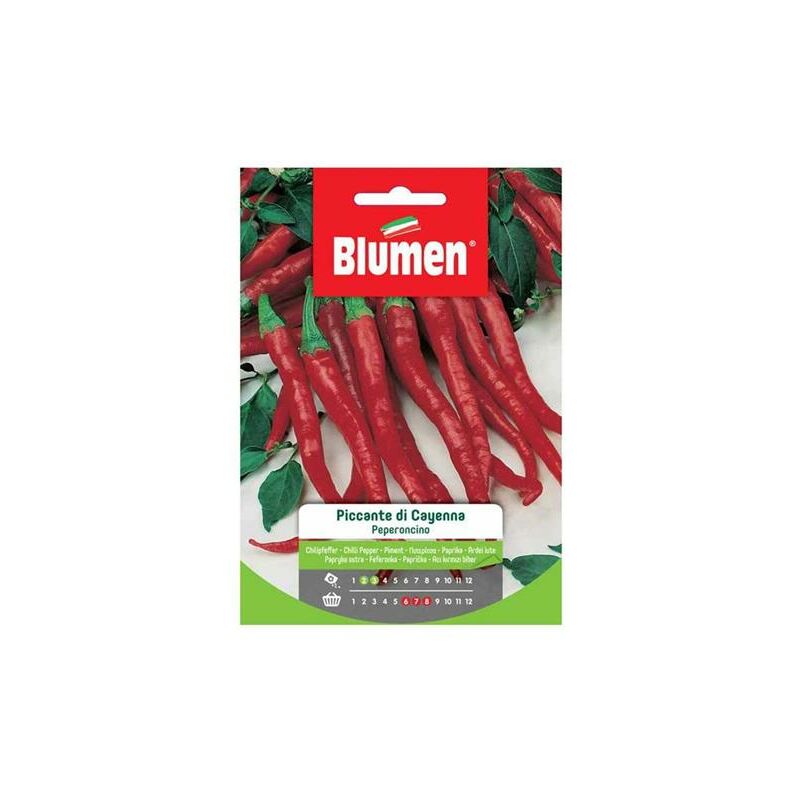 foto del prodotto semi di peperoncino piccante cayenna blumen