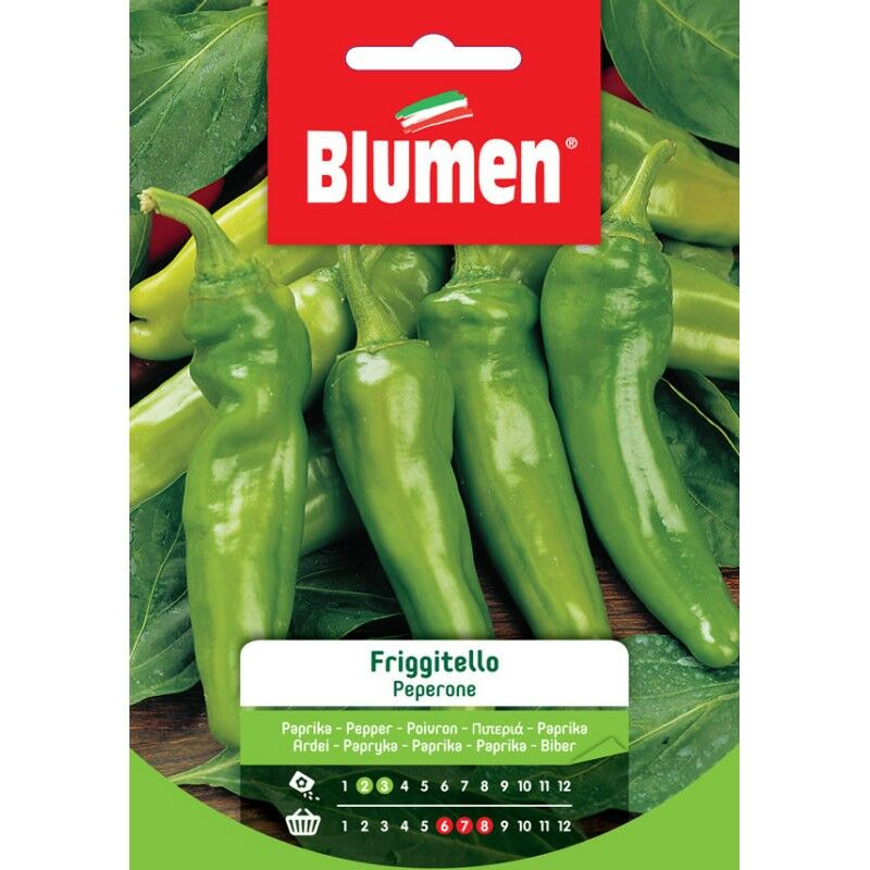 foto del prodotto semi di peperone friggitello blumen