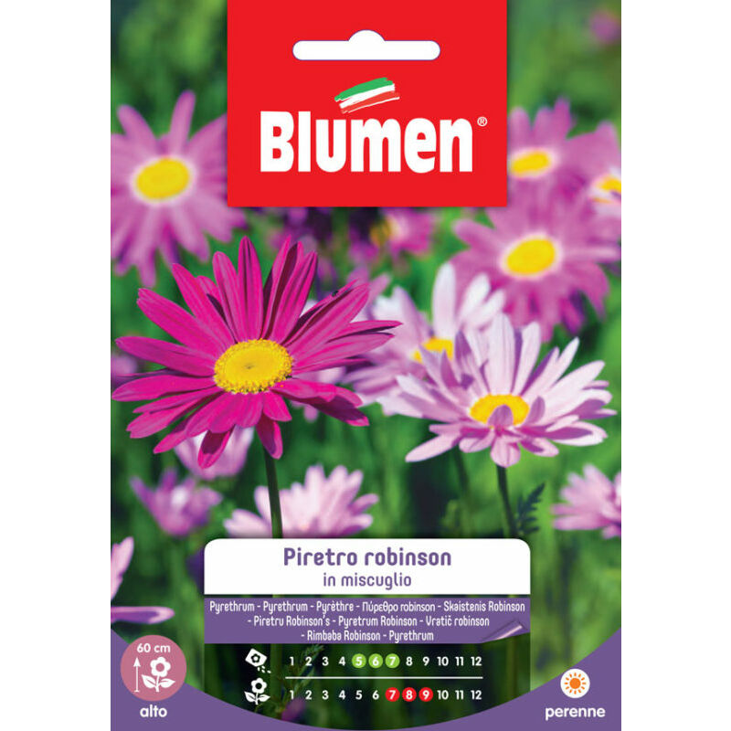 foto del prodotto semi di piretro robinson blumen