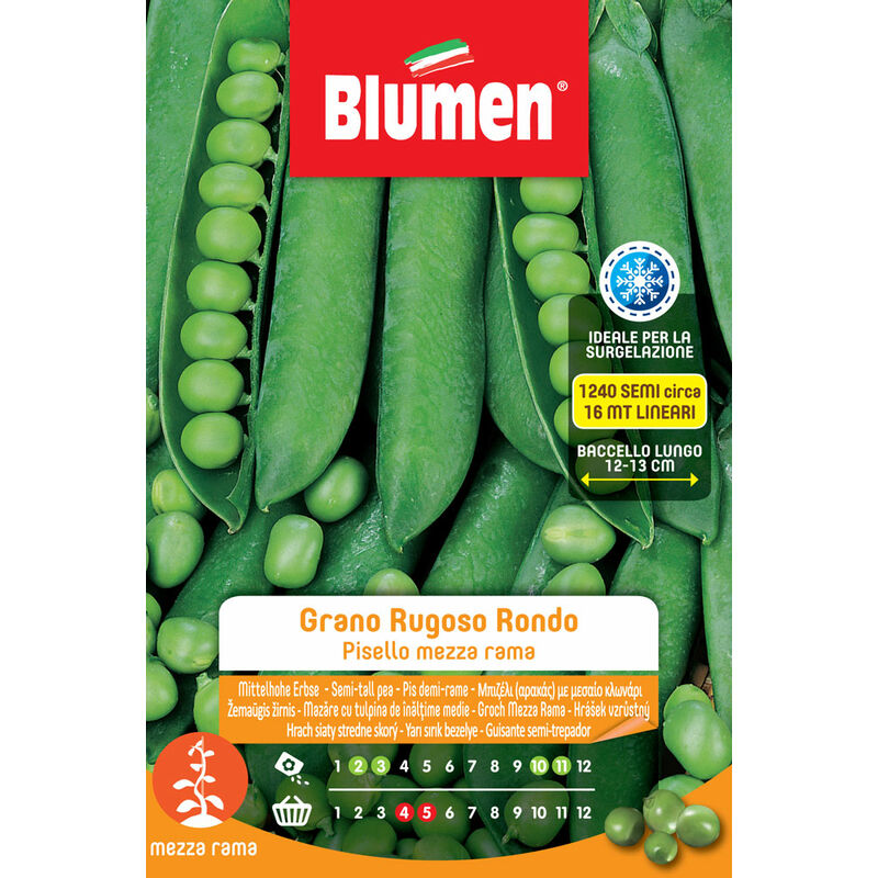 foto del prodotto semi di piselli mezza rama grano rugoso rondo blumen