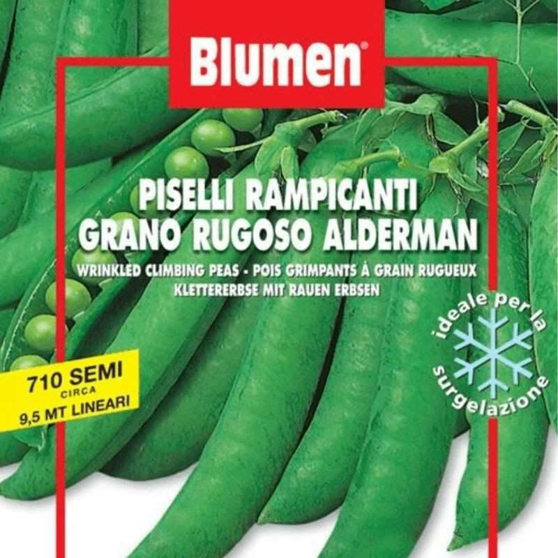 foto del prodotto semi di piselli rampicanti gran rugoso alderm in busta